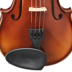 Gewa Violino Anniversary