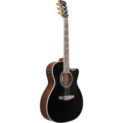 Ibanez AC391RCE-BKH Black High Gloss Top Natural High Gloss Back And Sides