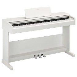 Yamaha YDP105 Arius White