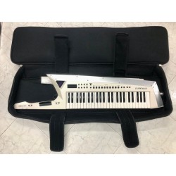 AX Edge Roland White Usato