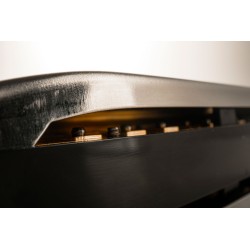 HOHNER Special 20 A Major New