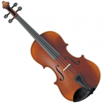 Viole Acustiche