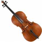 Violoncelli Acustici