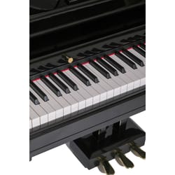 Orla Grand 500 Black