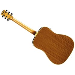 Eko One D EQ Vintage Burst