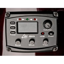 Eko NXT 018 CW EQ Left Natural