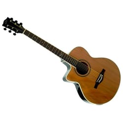 Eko NXT 018 CW EQ Left Natural