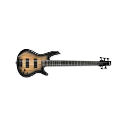 Ibanez GSR205SM NGT Natural Gray Burst