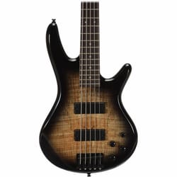 Ibanez GSR205SM NGT Natural Gray Burst