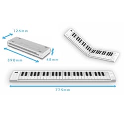 Blackstar Carry On Piano 49