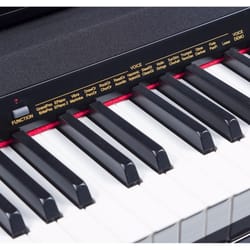 Medeli Grand 200 Codino