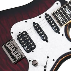 Schecter Banshee Extreme 6 R-BCHB Black Cherry Burst