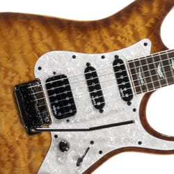 Schecter Banshee Extreme 6 TR-R-VBS Vintage Sunburst