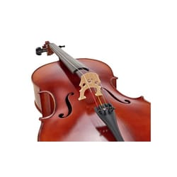 Gewa Allegro VC1 4/4