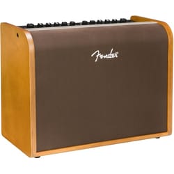 Fender Acoustic 100