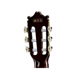 Ibanez GA6CEAM Elettrificata Ambra