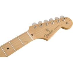 Fender EOB Sustainer Stratocaster 