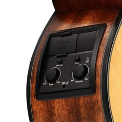 Takamine GN10CE NS