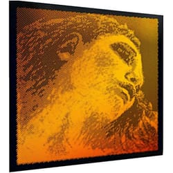 Evah Pirazzi 415221 LA Gold...