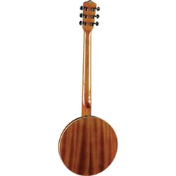 EKO GUITARBANJO BJ006 BANJO