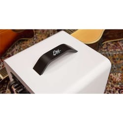 Eko EAmp Eclectic Amp