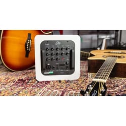 Eko EAmp Eclectic Amp