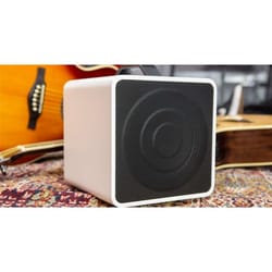 Eko EAmp Eclectic Amp