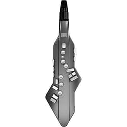 Roland AE-05 Graphite Black...