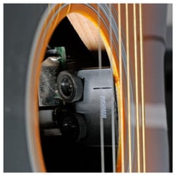 Eko Ranger XII VR EQ Honey Burst