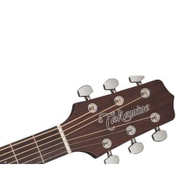 Takamine P1DC