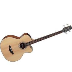 Takamine GB30CE