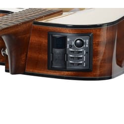 Takamine GD30CE Natural