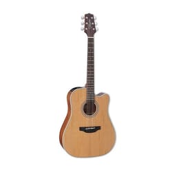 Takamine GD20CE NS 