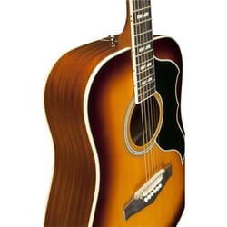 Eko Ranger VI VR EQ Honey Burst