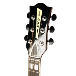 Eko Ranger VI VR EQ Honey Burst