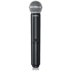 Shure BLX288E/SM58 M17