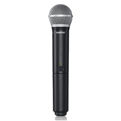 Shure BLX288E/PG58 M17