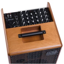 Acus One ForStrings 6T Wood