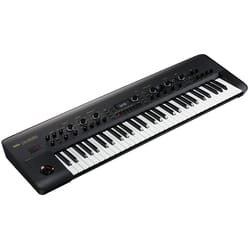 Korg KINGKORG BK