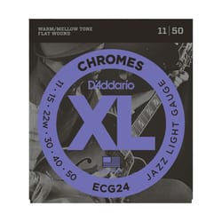 D'Addario ECG24 