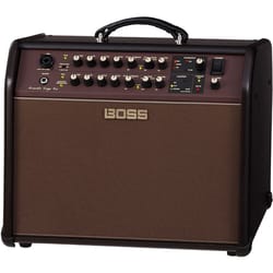 Boss Acoustic Singer Pro