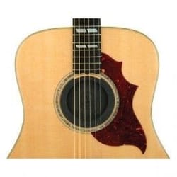 Planetwaves PW-SH-01