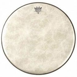 Remo 18" Ambassador...