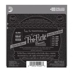 D'Addario EJ30