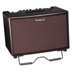 Roland AC60 Rosewood