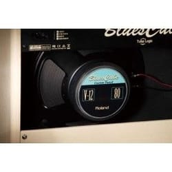 Roland Blues Cube Artist 