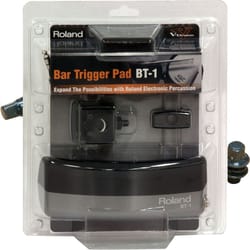 Roland BT1