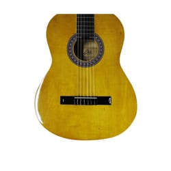 Eko CS10 Natural + Custodia Per Chitarra inclusa