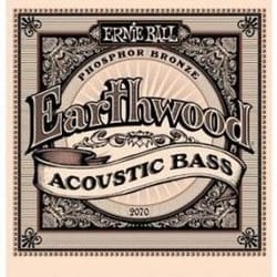 Ernie Ball 2070 Eartwood...
