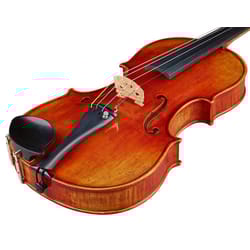 Gewa Viola Maestro 41 con Setup